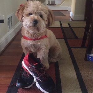 Cheap Mizuno Men’s Running Shoes